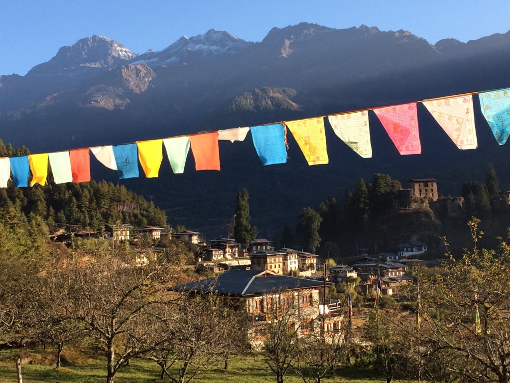 View in front of my hotel in Paro Valley